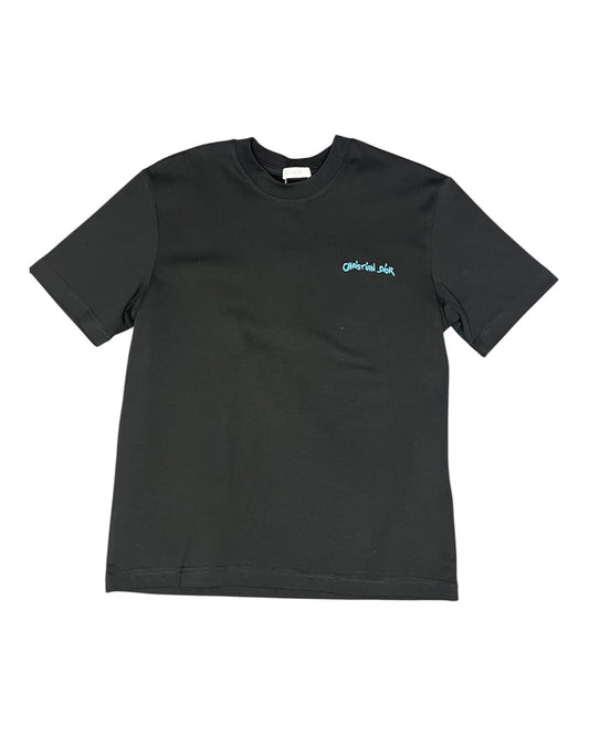 T-Shirt Estilo "Dior"